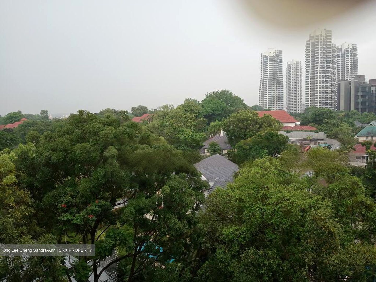 Holland Court (D10), Apartment #458945391